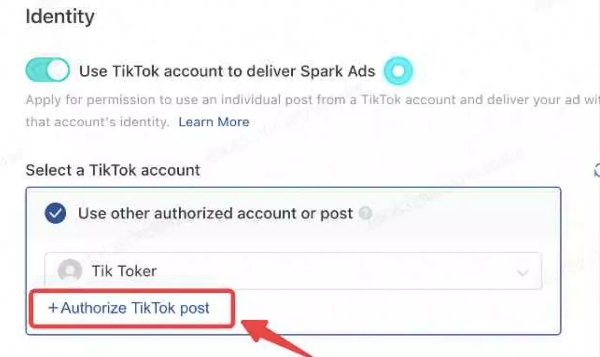 How To Run Spark Ads On TikTok?